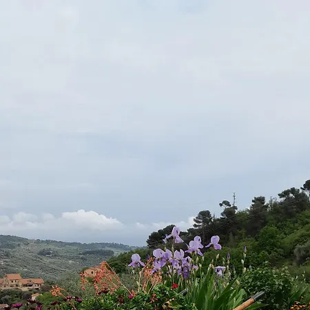 La Casa Nel Caruggio Appartamento *