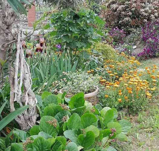 Apartamento La Casa Nel Caruggio