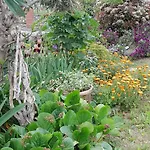 شقة La Casa Nel Caruggio