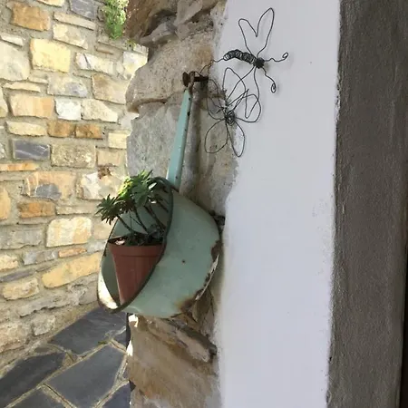 La Casa Nel Caruggio *