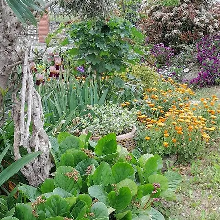 Apartman La Casa Nel Caruggio